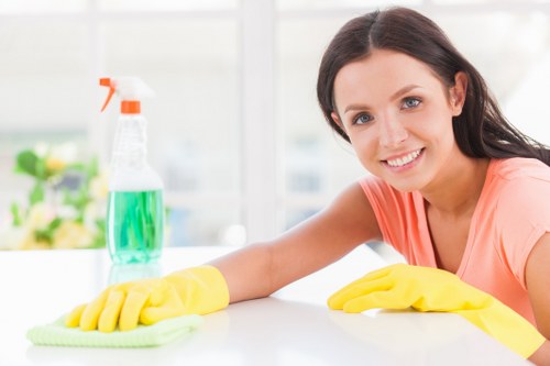 Professional hard floor cleaning service for homes and businesses in N7