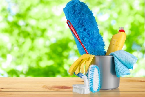 Professional carpet cleaning for homes in N7