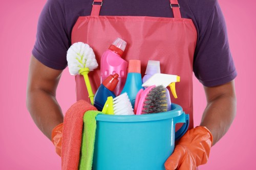 Local home cleaners providing domestic cleaning services in N7 flats and houses