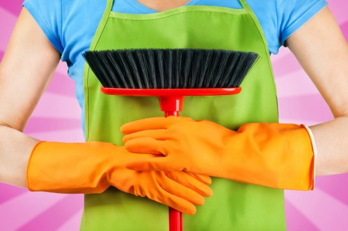 Deep cleaning a greasy oven in an N7 home kitchen
