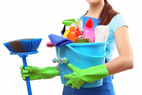 Professional domestic and commercial cleaning in N7