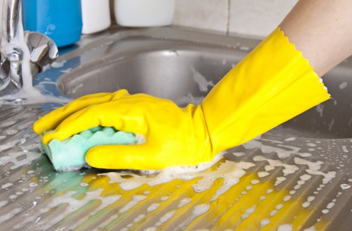 Local domestic cleaners working in N7 flats and family homes