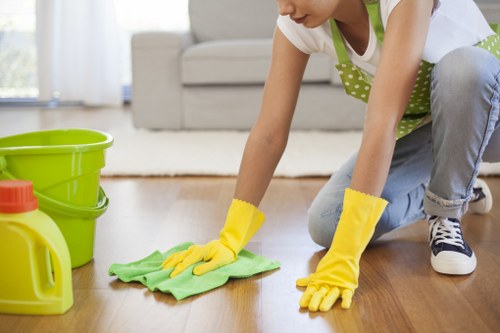 Deep cleaning treatment for carpets and rugs